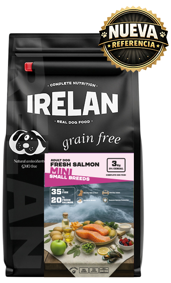 Irelan salmón raza pequeña